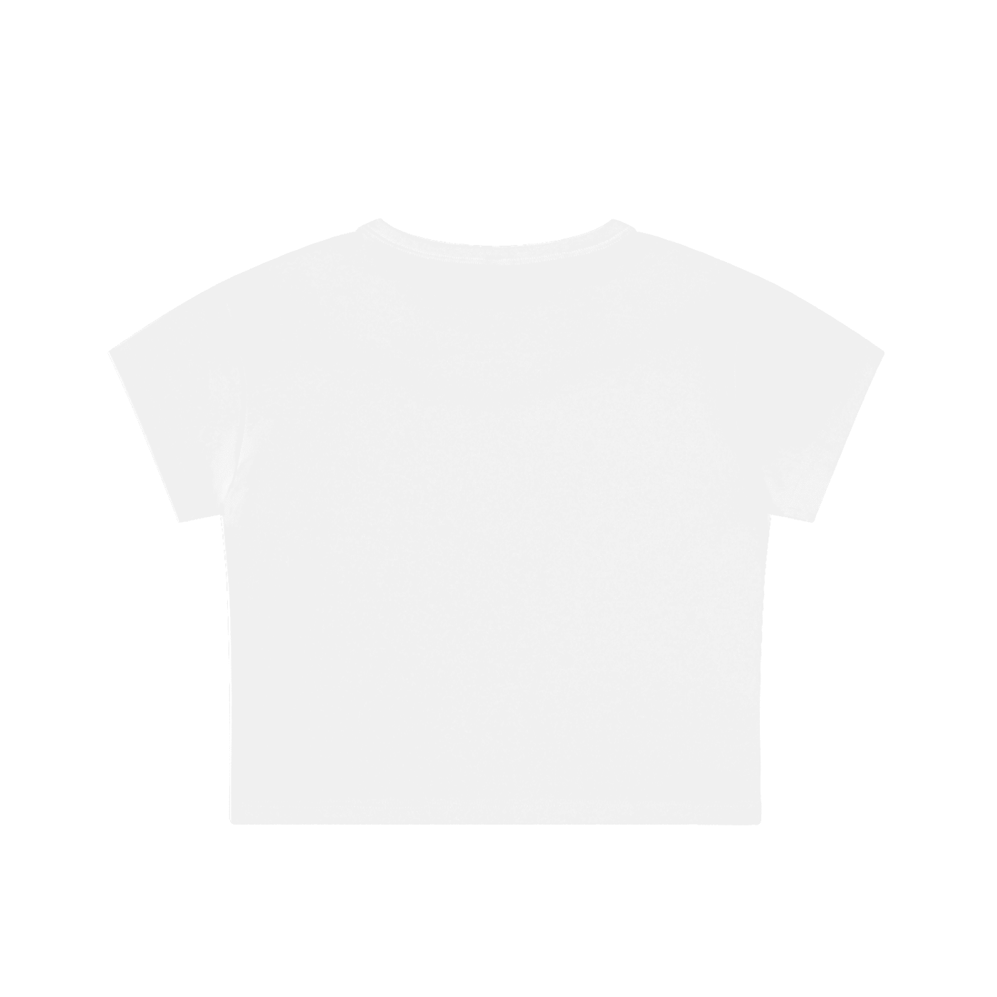 Snow Washed Crop Top